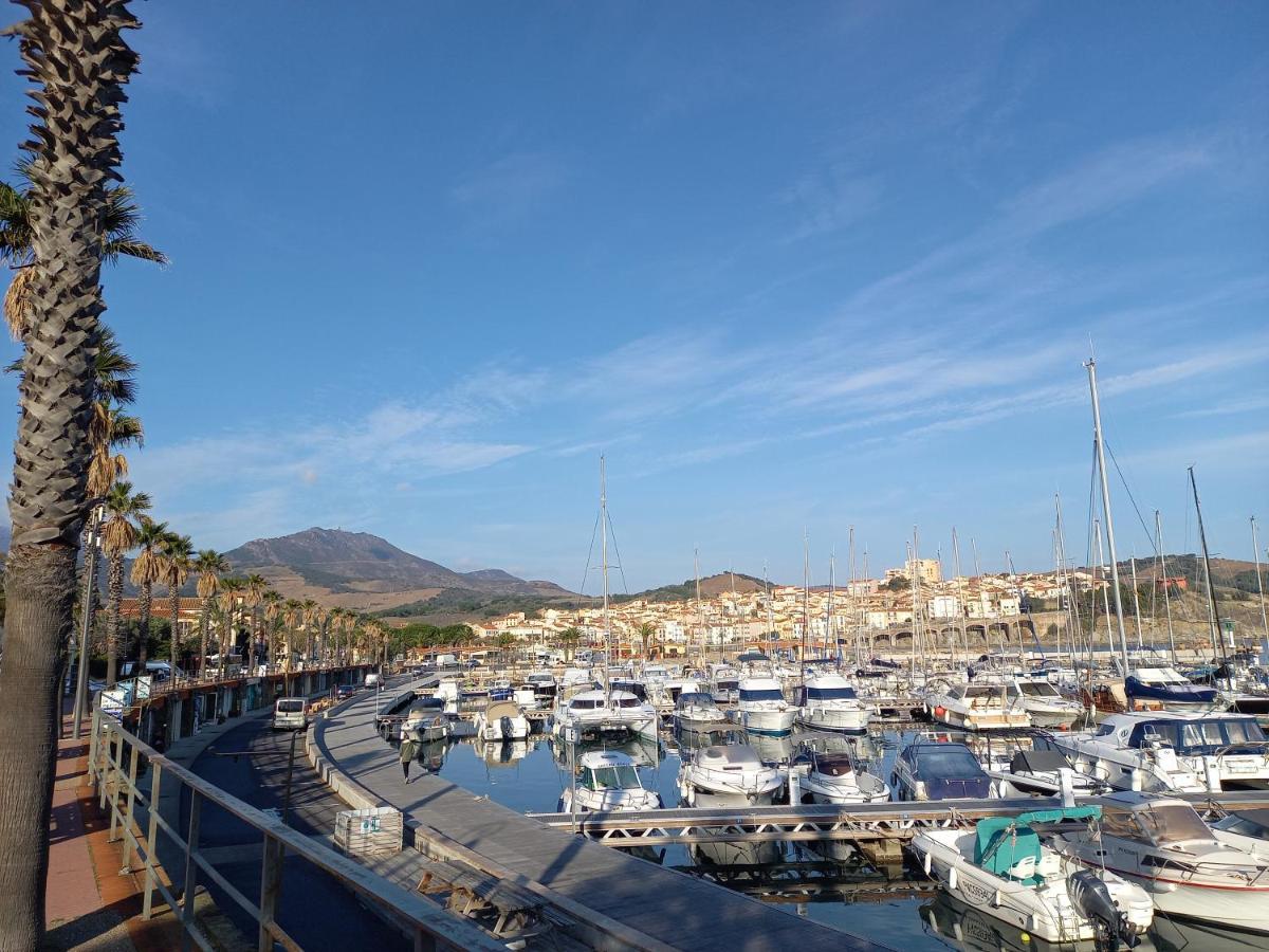 "Villa Llum I Mar", Au Coeur De Banyuls Sur Mer, 3 Chambres Avec Climatisation, 2 Sdb, Garage,6 Personnes, Classee 3 Etoiles Экстерьер фото